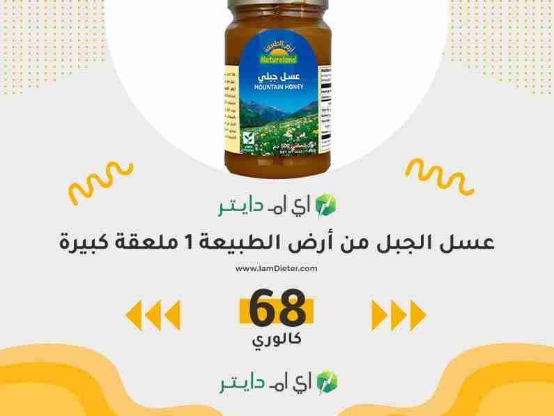 السعرات الحرارية في عسل الجبل من أرض الطبيعة