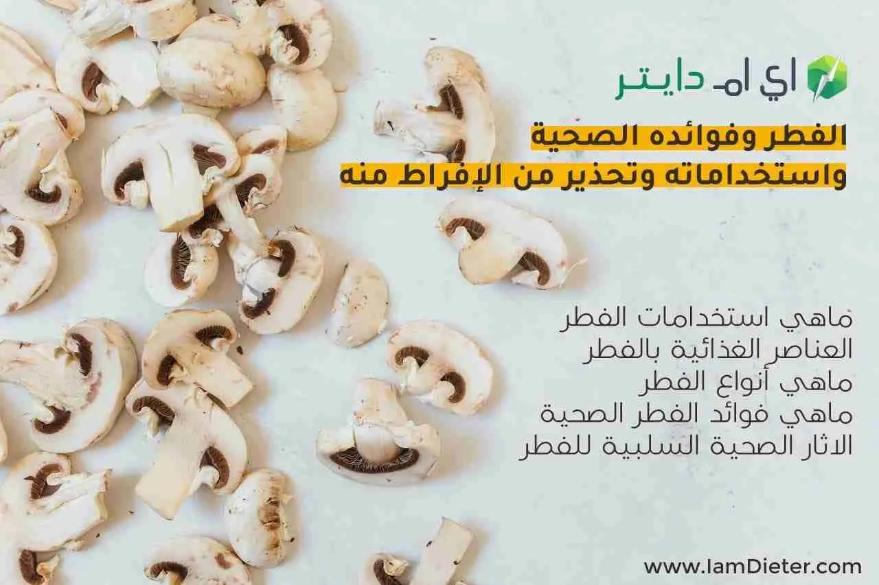 الفطر وفوائده الصحية واستخداماته وتحذير من الإفراط منه