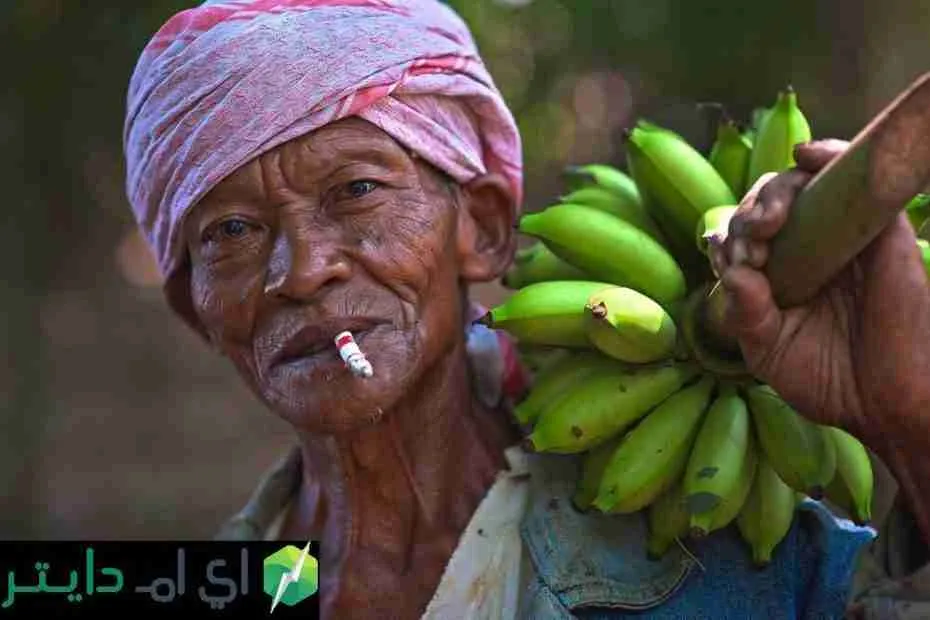 الموز، دقيق الموز ومسحوق الموز وفوائدهم